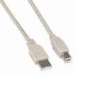 Bestlink Netware A-Male to B-Male USB2.0 Cable- 10ft- Ivory 150133IV
